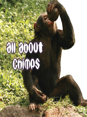 cover image of All About Chimps